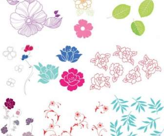 Simple Case Of A Variety Of Flowers Leaves Vector