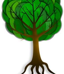 Pohon Sederhana