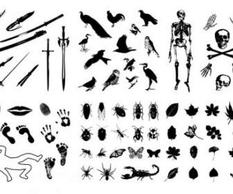 Skeleton Leaves Insects Birds Imprint Sword Silhouette Vector