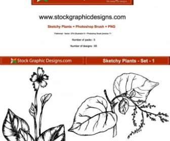 Sketchy Plants