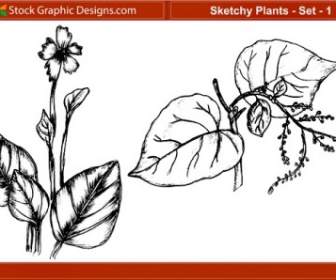 Skizzenhafte Pflanzen