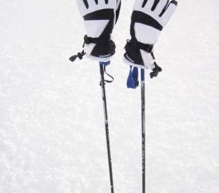 Ski Poles With Gloves