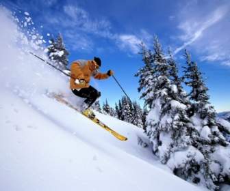 Sports De Ski De Fond Ski