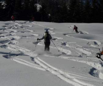 Skifahren Skifahrer Abfahrt