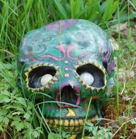 Jardín De Cráneo Cráneo Verde