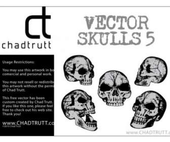 Vector Cráneo