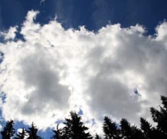 sky clouds trees