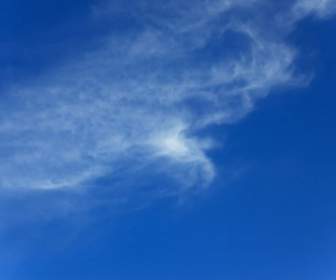 Cielo Con Fondo De Nube