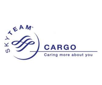 SkyTeam Cargo