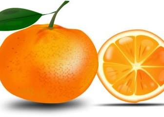 Rebanada De Naranja