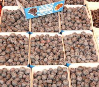 Sloes 莓果市場