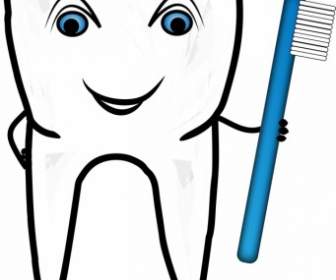 Sorrindo Dentes Com Escova De Dentes