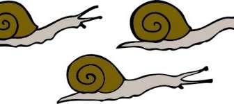 Snails Clip Art