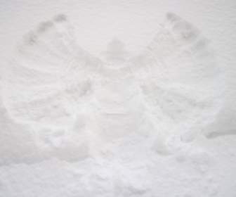 雪の天使