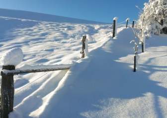 Snow Landscape Winter Blast
