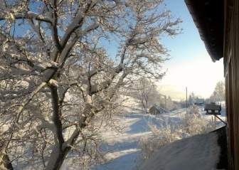 Nieve Paisaje Winter Blast