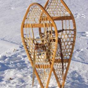 Snow Shoes Upright In Snow