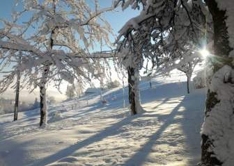 雪的冬天高爐景觀