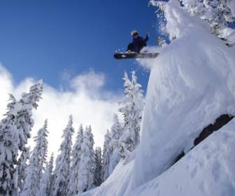 Papel De Parede Snowboard Snowboard Esportes