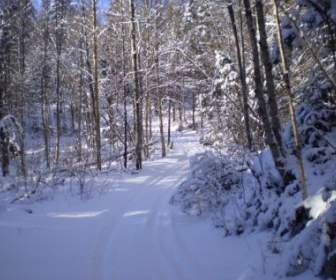 Snowmobil Trail