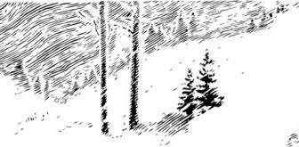 Снежные деревья картинки