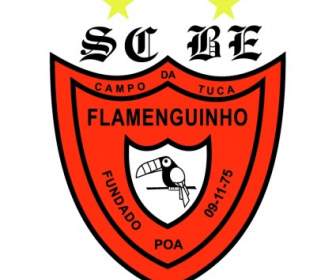 Sociedade Beneficiente วัฒนธรรมอี Esportiva Flamenguinho ดา Tuca ปอร์โตอเลเกรศ. Morro ทำ