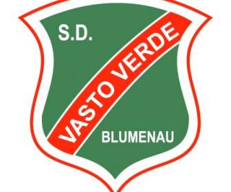 Sociedade Desportiva Vasto เวิร์ดเด Blumenau Sc