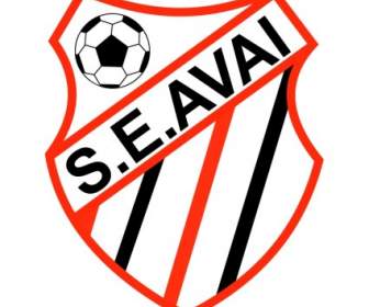 Sociedade Esportiva Avai ・ デ ・ サンパウロ レオポルド Rs