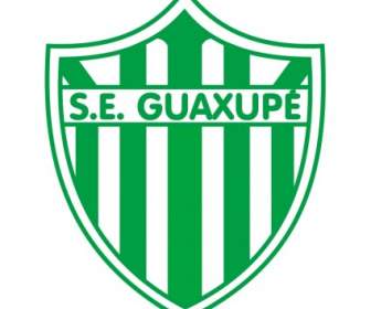 Sociedade Esportiva Guaxupe เด Guaxupe มิลลิกรัม
