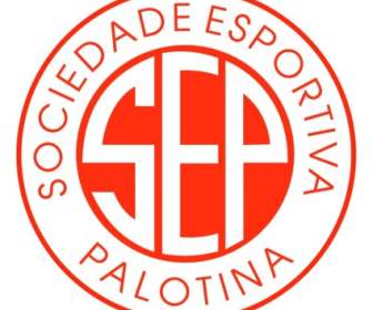 Sociedade Esportiva Palotina เด Palotina Pr