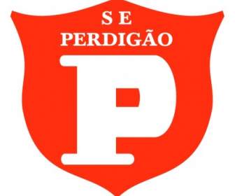 Sociedade Esportiva Perdigao De Videira Sc