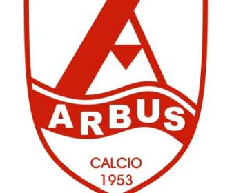 Società Sportiva Arbus Calcio De Arbus