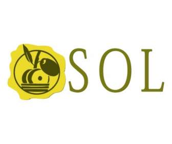 Sol Food Oil Saloon