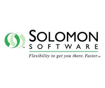 Соломон программное обеспечение