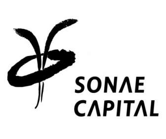Sonae 資本金