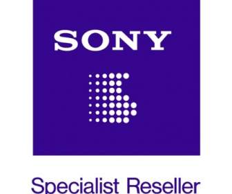 Sony-Fachhändler