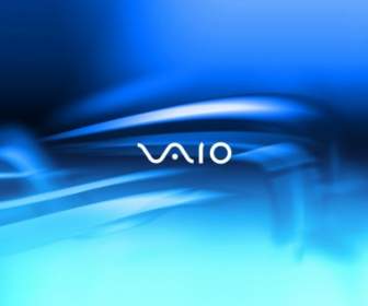 Sony Vaio สีน้ำเงินพื้นแสง Sony Vaio คอมพิวเตอร์