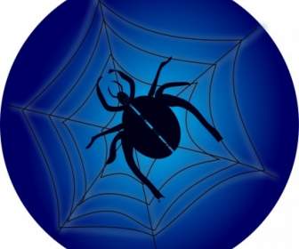 Araña En Web