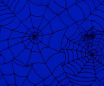 蜘蛛 Web 模式