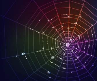 Vector Araña Web