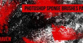 Sponge Brushes