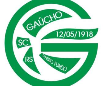 الرياضة نادي غاوتشو دي Passo Fundo Rs
