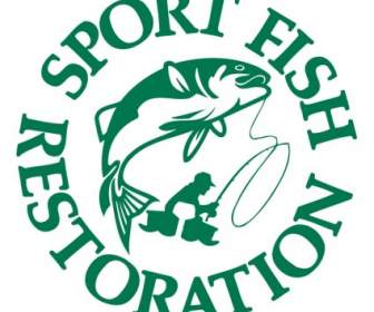 Restauración De Pescados Del Deporte