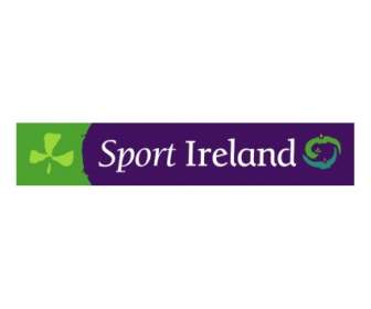 アイルランドをスポーツします。