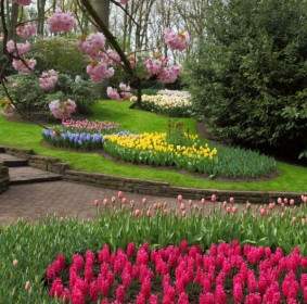 Jardín De Flores De Primavera