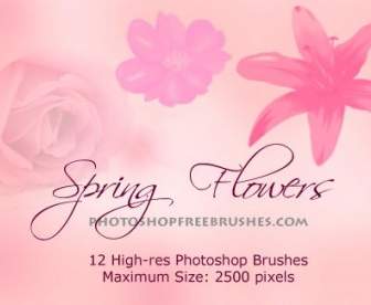 Flores De Primavera Photoshop Pinceles Vol