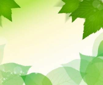 весной свежие зеленые листья векторная иллюстрация