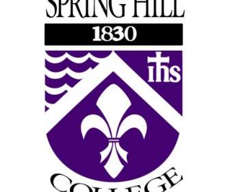 Spring Hill Koleji
