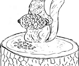 écureuil Mangeant Clipart De Pin Cône