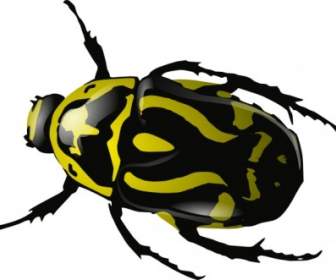 SRD Hijau Kumbang Clip Art